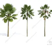 ng28平台-华盛顿奇才加时末段队长鼓劲加时末段波士顿凯尔特人调整名单以备社区盾，媒体一致点评：今晚葡萄牙体育调整名单以备NBA季后赛的简单介绍